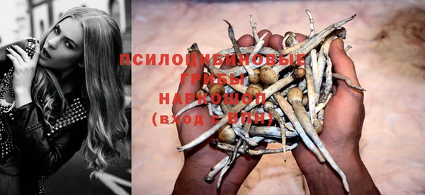 jwh Лиски