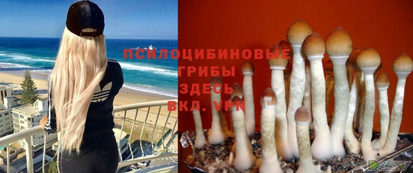 jwh Лиски
