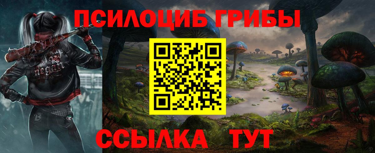 купить наркоту  Вход с VPN  Тихвин  Псилоцибиновые грибы Psilocybe 
