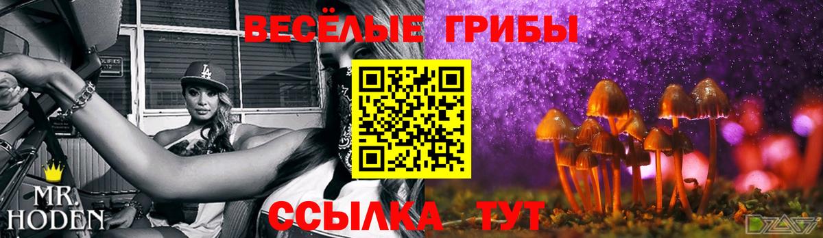 Псилоцибиновые грибы Psilocybine cubensis Тихвин