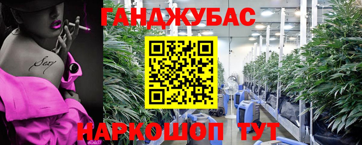 Бошки марихуана план Тихвин